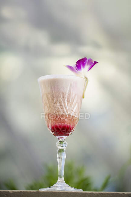 Cocktail cremoso com brandy, vinho do Porto tinto, xarope de coco e granadina — Fotografia de Stock