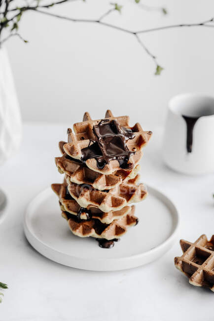 Vegan waffles covered with chocolate — Stock Photo