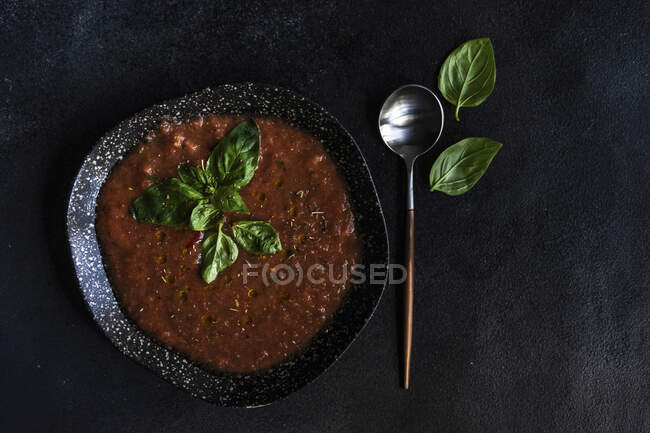 Традиционный испанский томатный суп Gazpacho — стоковое фото