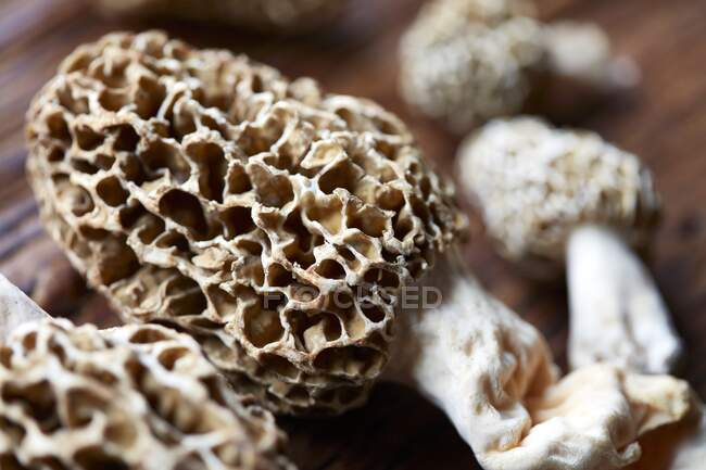 Plan rapproché de délicieux champignons Morel (gros plan) — Photo de stock