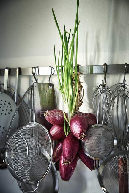 Red Tropea onions on a hook rack — Stock Photo