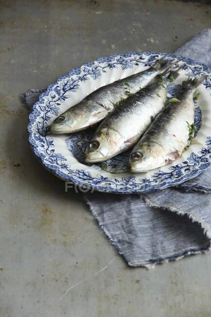 Tres sardinas en un plato - foto de stock