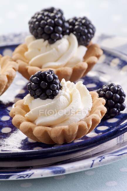 Cupcakes with cream and blackberry — Stock Photo