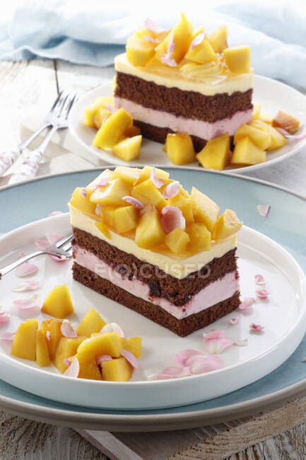 Schokoladenkuchen mit Mango und Kirschcreme — Stockfoto