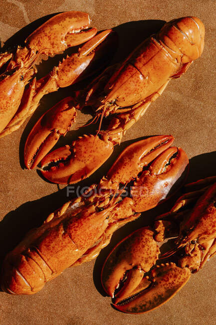 Fresh cooked lobster with spices on a black background — Stock Photo