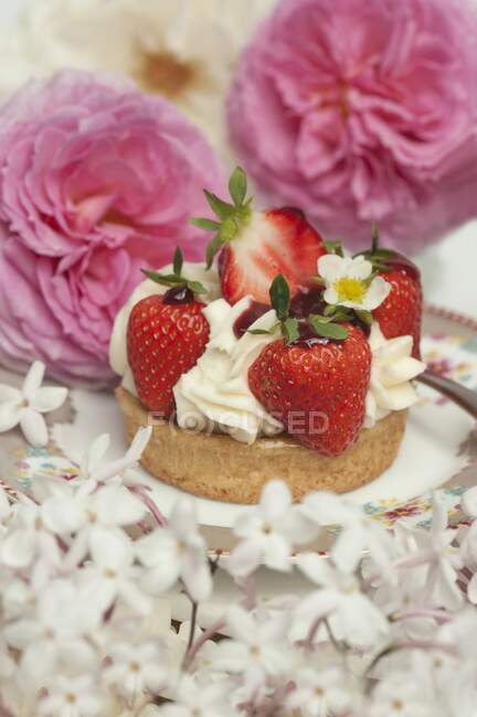 Клубничный торт со сливками в окружении летних роз и цветов жасмина — стоковое фото