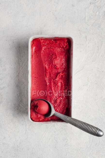 Sorbete de frambuesa con una cucharada de helado en un plato de plástico - foto de stock