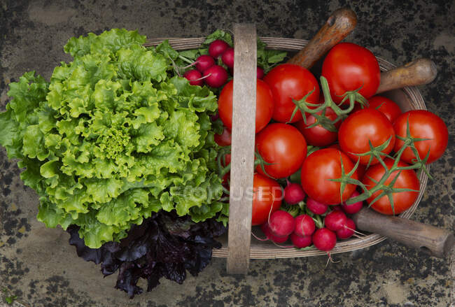 Fresh green vegetables in a glass bowl and a red pepper on a black background — Stock Photo