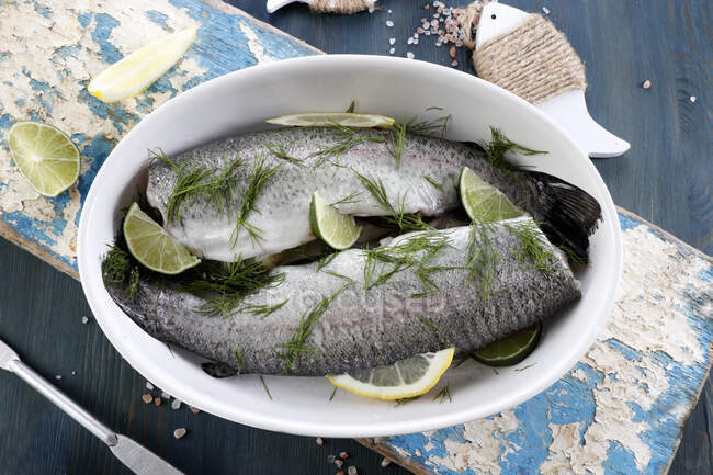Fresh trout with lime and dill, prepared for baking — Stock Photo