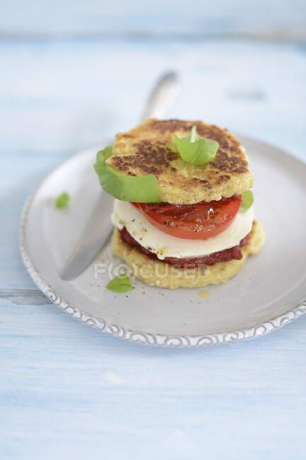 Mini hamburguesa con mozzarella y tomate - foto de stock