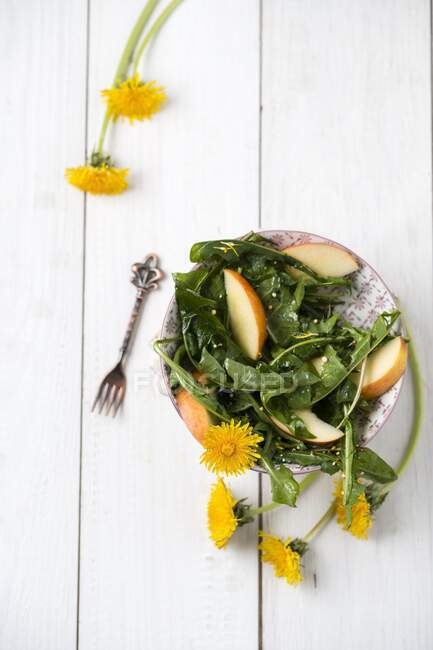 Dandelion salad with apple and quinoa — Stock Photo