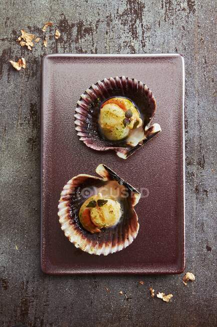 Grilled scallops (top view) — Stock Photo