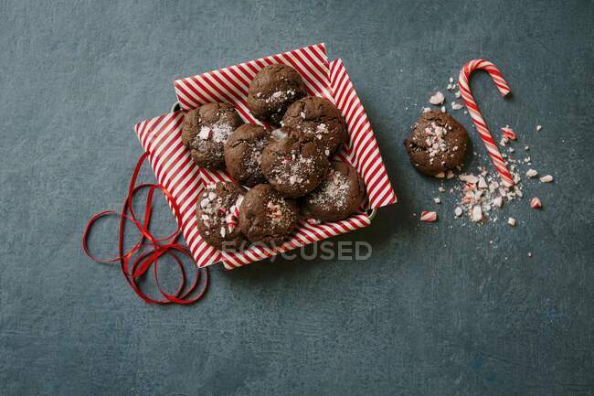 Primo piano di deliziosi biscotti alla menta piperita al cioccolato — Foto stock