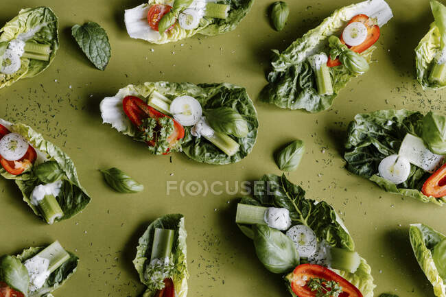 Romaine lettuce salad bitesize snacks with cherry tomatoes, paprika, celery, onion and greek yogurt dressing — Stock Photo