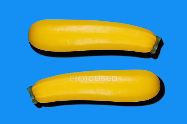 Deux courgettes jaunes sur fond bleu — Photo de stock