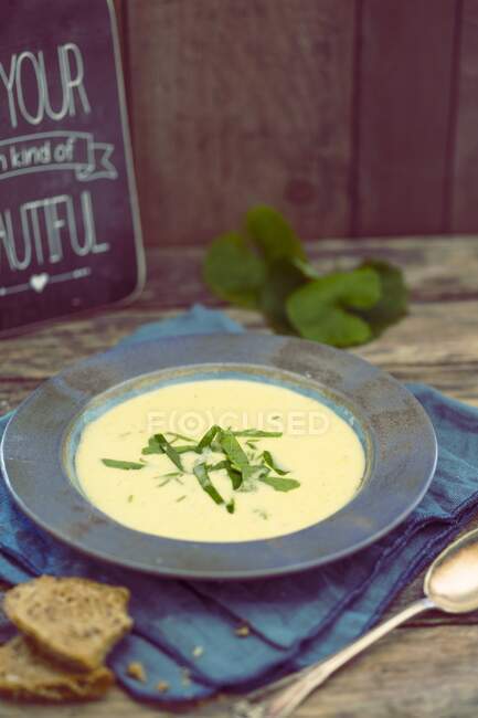 Zuppa di patate con rucola — Foto stock