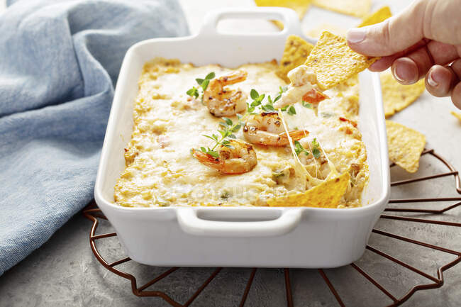 Spicy cheese and shrimp dip with tortilla chips — Stock Photo