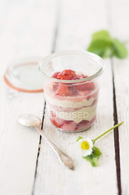 Strawberry tiramisu close-up view — Stock Photo