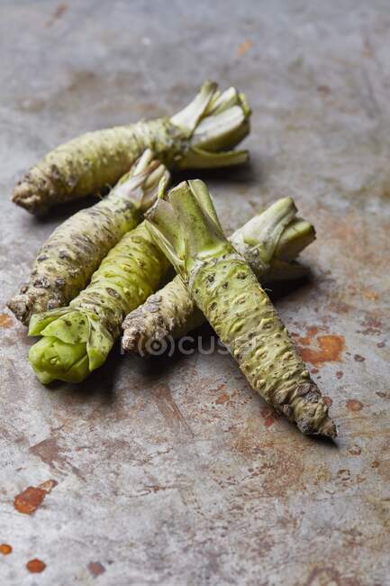 Wasabi roots close-up view — Stock Photo