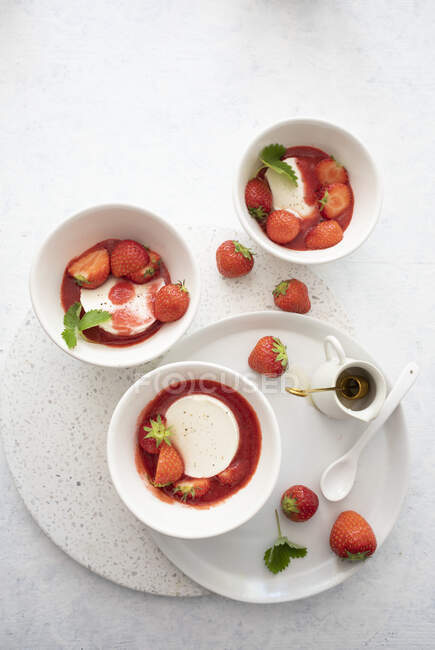 Panna cotta aux fraises et coulis — Photo de stock