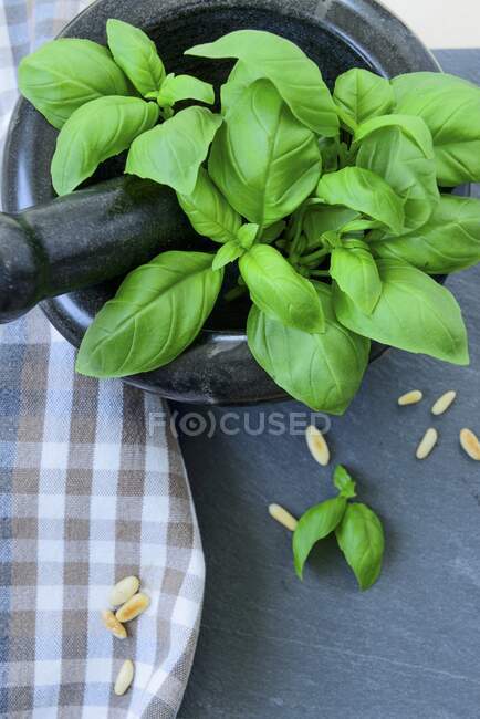 Fresh basil in a mortar, with scattered pine nuts — Stock Photo
