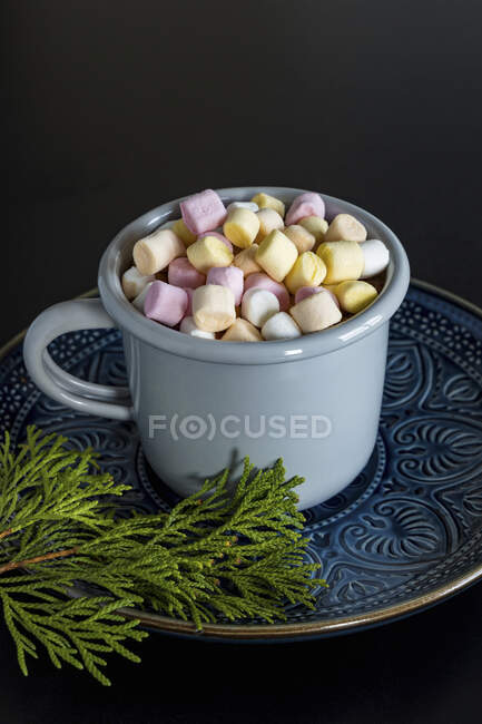 Bevanda di cacao fatta in casa, cioccolata calda con marshmallow — Foto stock