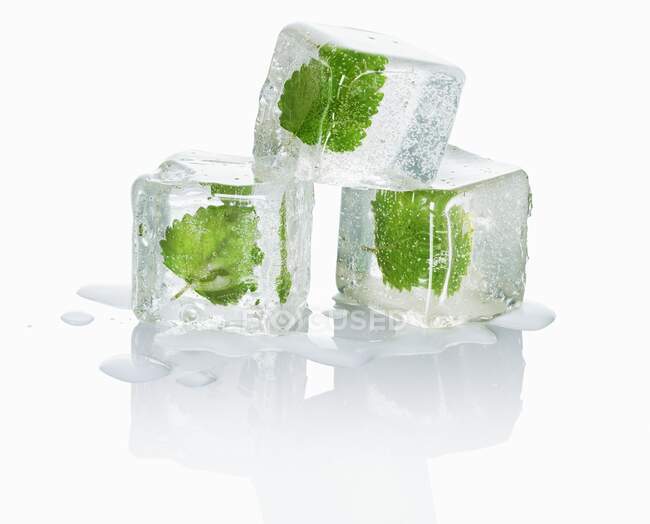 Three ice cubes with melissa — Stock Photo