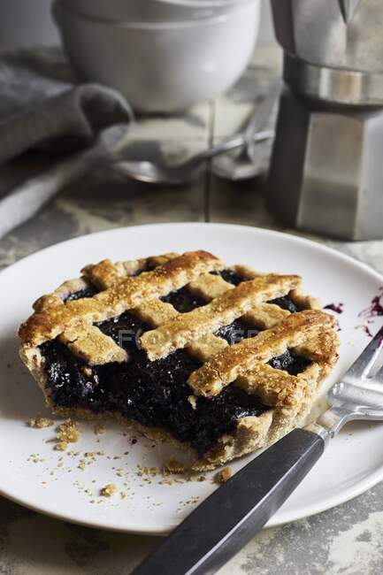 Blueberry tartlet with a dough lattice — Stock Photo