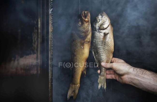 Smoked fish in a smokehouse — Stock Photo