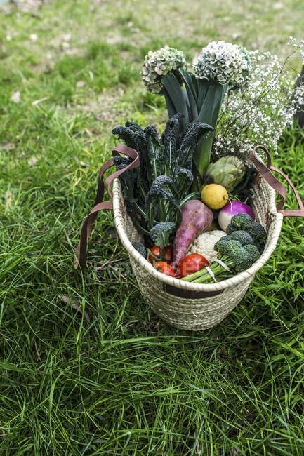 Uma cesta de compras com legumes, frutas e flores — Fotografia de Stock