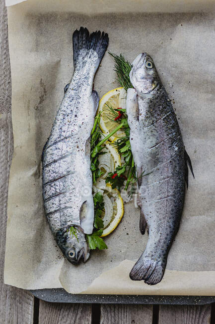 Trouts before baking close-up view — Stock Photo