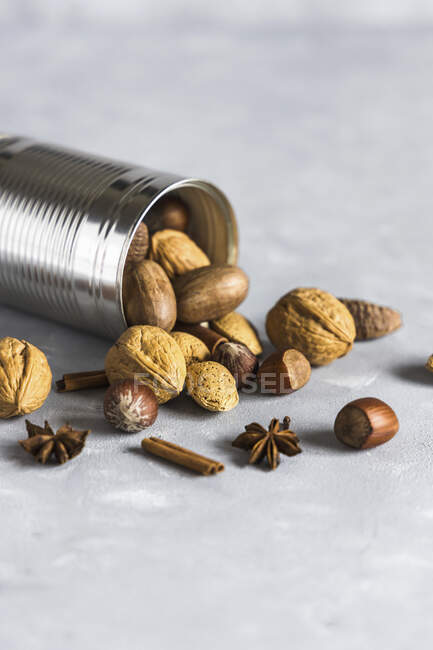 Nut mix close-up view — Stock Photo