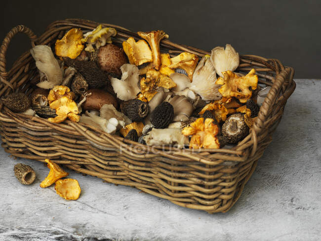 Plan rapproché de délicieux champignons girolles, cèpes, morilles — Photo de stock