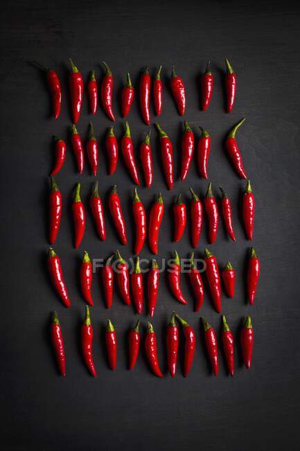 Red chilli peppers in rows against a black background (top view) — Stock Photo