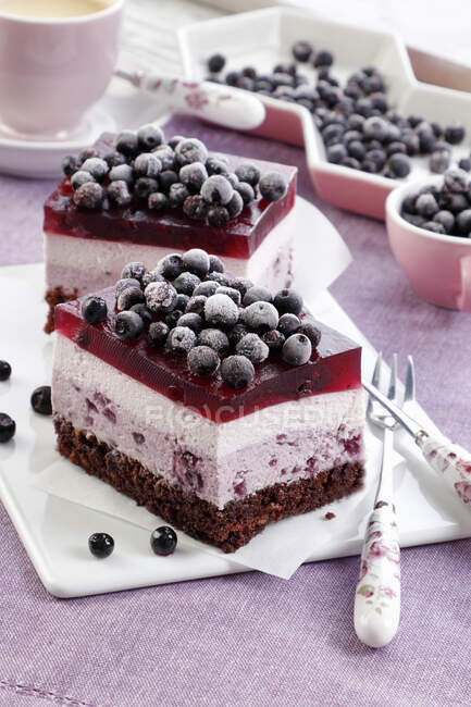 Primer plano de delicioso pastel de chocolate y bluberry con gelatina - foto de stock