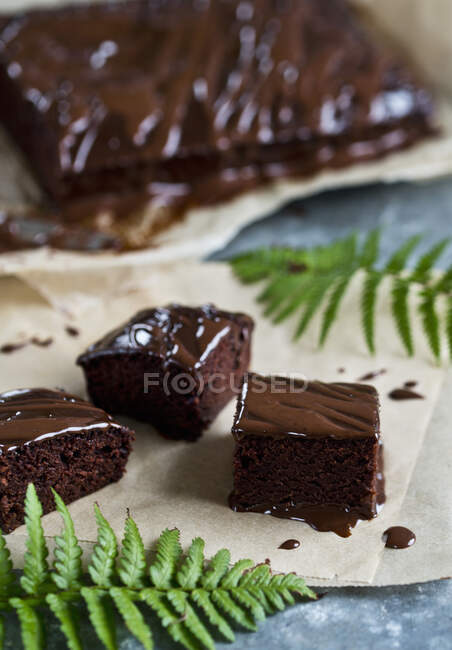 Close-up shot of delicious Chocolate cake — Stock Photo