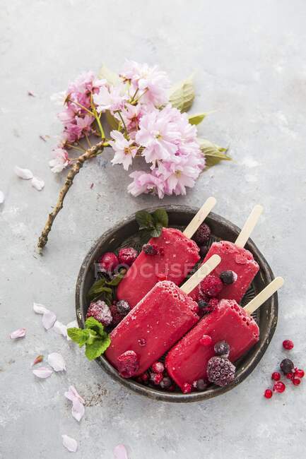 Porciones de helado de bayas - foto de stock