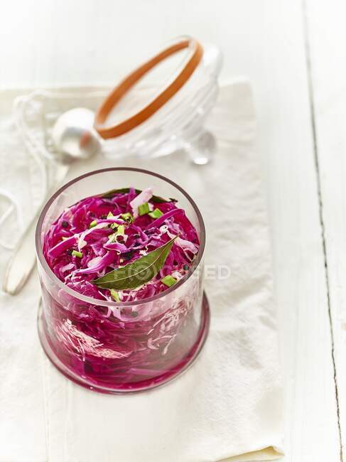 Lacto fermented red cabbage with bay leaves and sprouts — Stock Photo