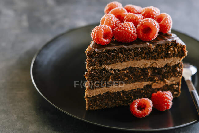 Fatia de bolo de camada de chocolate com creme de manteiga dulce de leche, ganache e framboesa — Fotografia de Stock