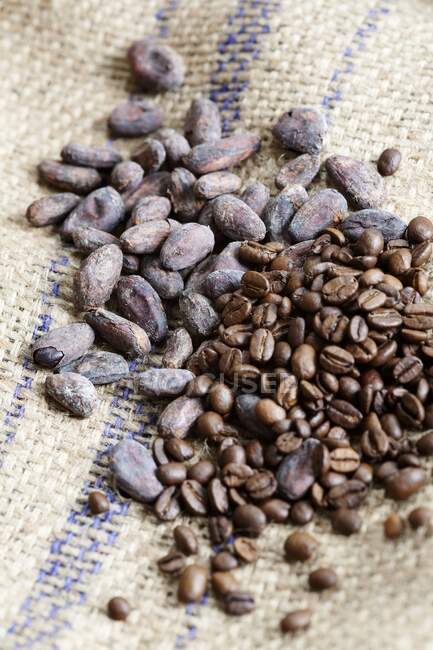 Cocoa beans and coffee beans — Stock Photo