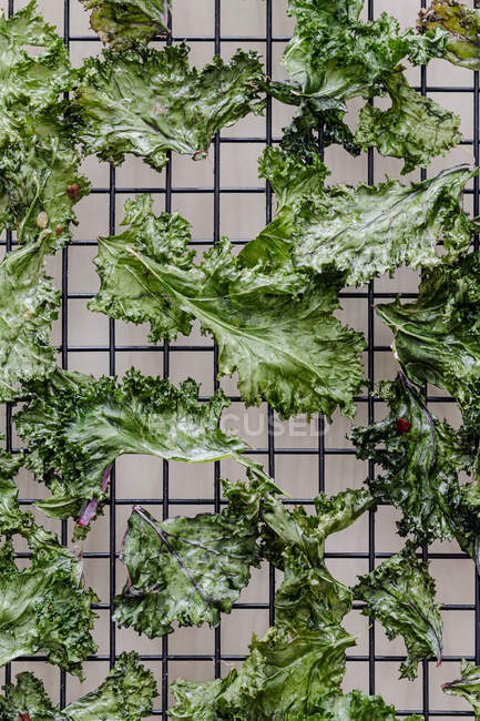 Kale Chips vue rapprochée — Photo de stock