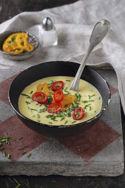 Zuppa di manzo con erba cipollina e peperoni — Foto stock