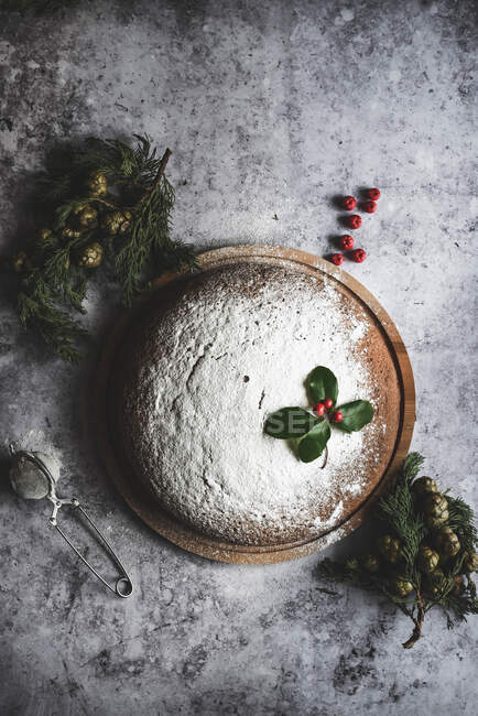 Christmas cake with green mint leaves — Stock Photo