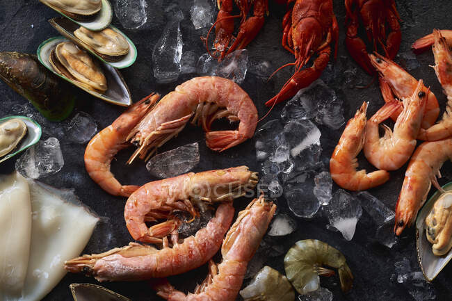 Sortimento de vários frutos do mar crus - camarões, mexilhões kiwi, lulas e lagostins no gelo — Fotografia de Stock
