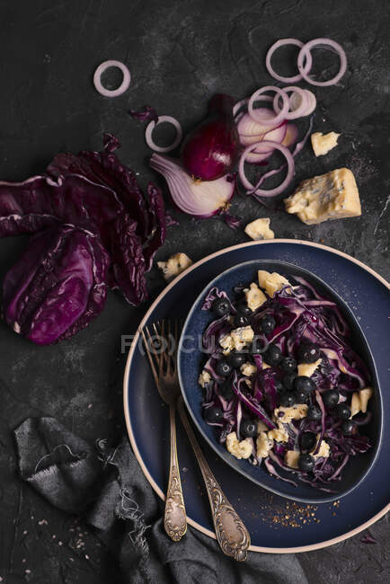 Salad with red cabbage, blueberries, blue cheese, red onion and olive oil — Stock Photo