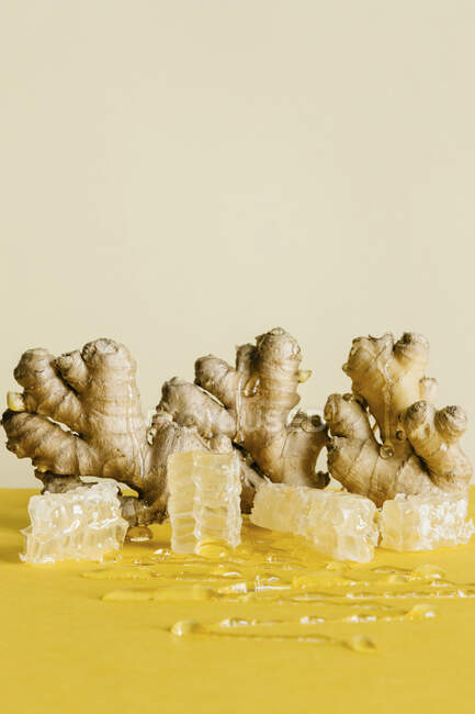 Sculpture au gingembre et nid d'abeille — Photo de stock