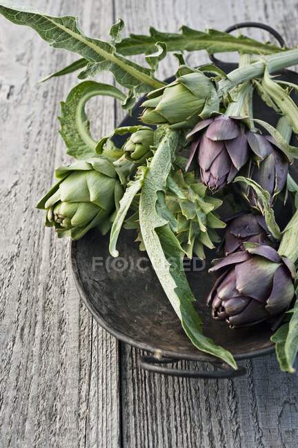 Green and purple artichokes in a metal bowl — Stock Photo