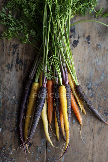 Zanahorias de diferentes colores sobre un fondo de madera - foto de stock