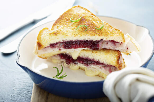 Sanduíche de queijo grelhado com peru, provolone e compota de cranberry — Fotografia de Stock