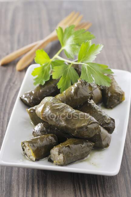 Stuffed vine leaves close-up view — Stock Photo